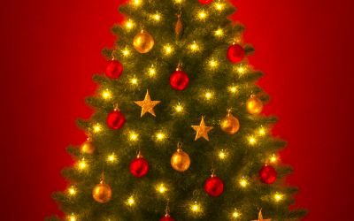 Weihnachtsbrief 2025